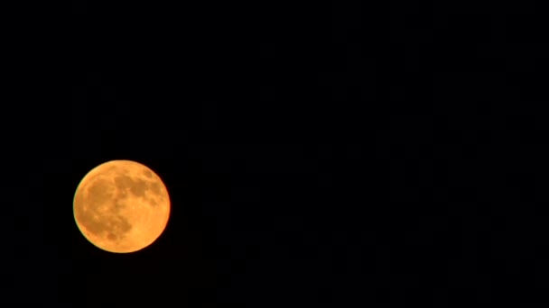 Timelapse luna piena più tardi e aereo che passa davanti, cielo serale — Video Stock