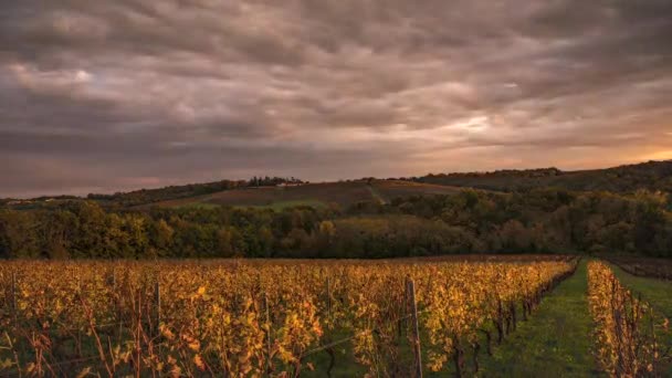 Avançar e reverter rápida timelapse do sol com nuvemVinha de Bordeaux no outono sob o pôr do sol — Vídeo de Stock