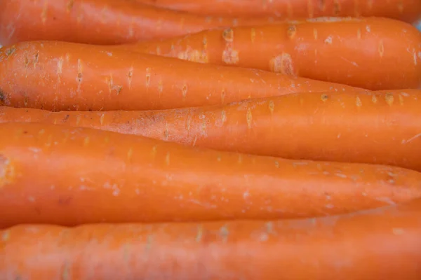 Primo piano di carote fresche sdraiate sul tavolo — Foto Stock