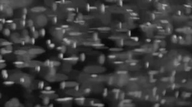 Champaign baloncukları siyah arkaplanı kapat