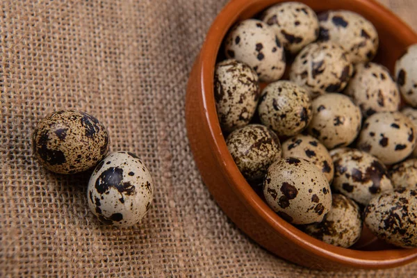 Ovos de codorna frescos em segundo plano, conceito de alimentação e saúde — Fotografia de Stock