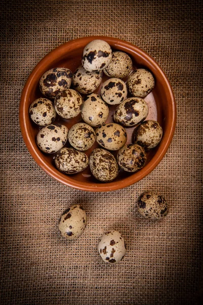 Ovos de codorna frescos em segundo plano, conceito de alimentação e saúde — Fotografia de Stock