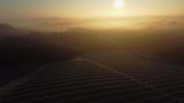 Luchtfoto bordeaux wijngaard over vorst en smog in de winter, landschap wijngaard — Stockvideo