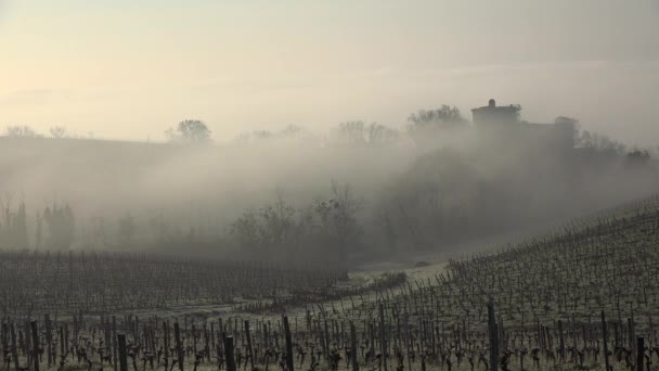 Timelapse bordeaux vinha sobre geada e névoa no inverno, paisagem vinha, Langoiran — Vídeo de Stock