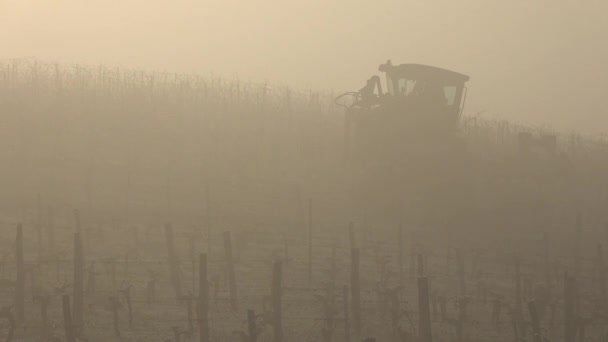 在雾中葡萄园里的葡萄收获机，波尔多，吉隆德，圣埃米利翁 — 图库视频影像