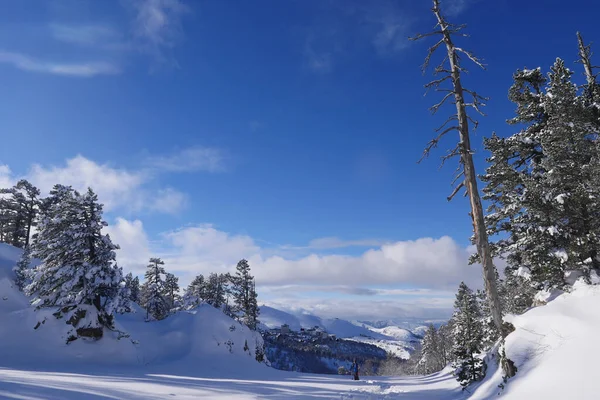 Bonita paisagem de inverno nevado nos Pirinéus com pinheiros e abetos — Fotografia de Stock