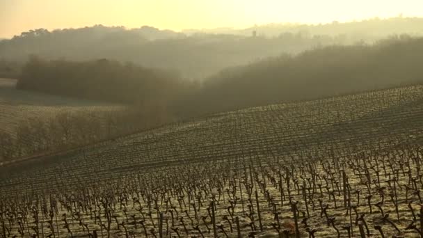 Bordeaux landschap wijngaard in de winter onder de vorst en mist — Stockvideo