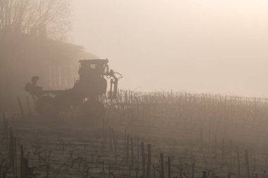 Üzüm toplama makineleri sisli, Bordeaux, Gironde, Saint-Emilion