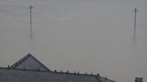 Frankrijk, La Reole, 4 februari 2021, De rivier de Garonne overstroomt haar oevers na zware regenval, overstroomde huizen en straten in La Reole — Stockvideo