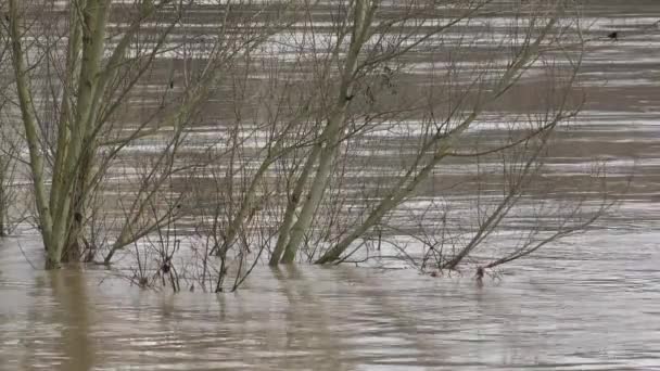 Frankrike, La Reole, 4 februari 2021, floden Garonne svämmade över sina stränder efter kraftiga regn, översvämmade hus och gator i La Reole — Stockvideo
