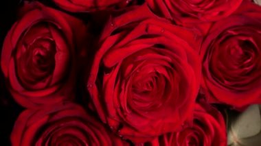 Yumuşak renkli kırmızı güller sehpanın üzerinde, yakın plan.