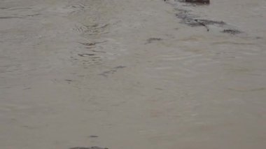 Fransa, Cadillac, 4 Şubat 2021, Garonne Nehri, Cadillac 'ta şiddetli yağış, sel ve caddelerin ardından taştı..