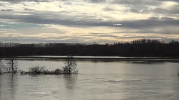 Frankrike, Cadillac, 4 februari 2021, Floden Garonne svämmade över sina stränder efter kraftiga regn, översvämmade hus och gator i Cadillac. — Stockvideo