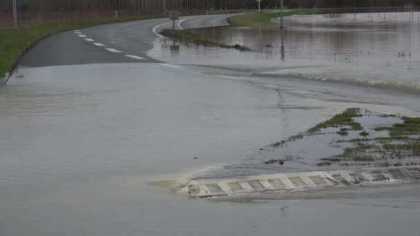 Francja, Cadillac, 4 lutego 2021, Rzeka Garonne przepełniła brzegi po obfitych opadach deszczu, zalanych domach i ulicach Cadillaca. — Wideo stockowe