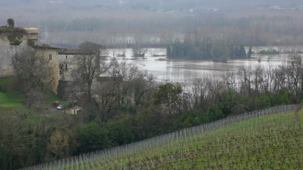 Bordeaux Vineyard, floden Garonne svämmade över sina stränder efter kraftiga regn, Entre deux mers, Langoiran, Gironde, Frankrike — Stockvideo