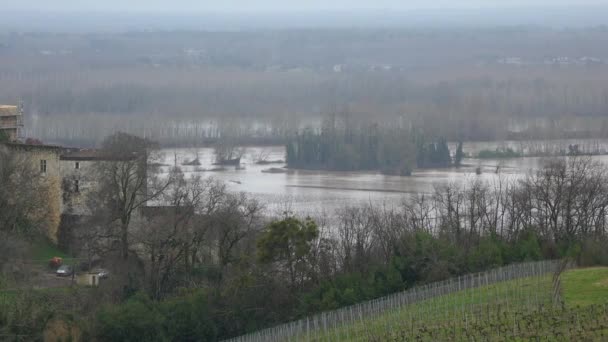 Bordeaux Vineyard, Řeka Garonne přetékala břehy po silných deštích, Entre deux mers, Langoiran, Gironde, Francie — Stock video