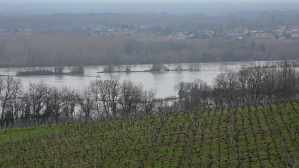 Bordeaux Vineyard, The River Garonne túlcsordult a bankok után nagy csapadék, Entre deux mers, Langoiran, Gironde, Franciaország — Stock videók