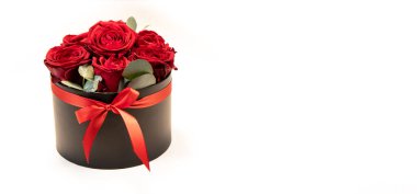 Beyaz arka planda renkli kırmızı güller, yakın plan.