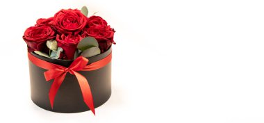 Beyaz arka planda renkli kırmızı güller, yakın plan.