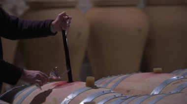 Şarap Üreticisi Şarap Mahzeninde Şarap Testi Yapıyor