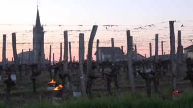 KADIN, POMEROL, BORDEAUX VINEYARD VINEYARD 'DA YARDIM KIŞ, KADIN 2021, BORDEAUX VINEYARD