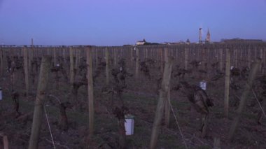 KADIN, POMEROL, HAVA TÜRKETLERİ VINEYARD 'DA HAVA KARIŞLARI BORDEAUX VINEYARD' IN SUB-ZERO TEMPERATÜRÜRLERİ