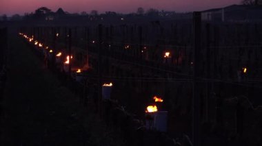 KADIN, POMEROL, BORDEAUX VINEYARD VINEYARD 'DA YARDIM KIŞ, KADIN 2021, BORDEAUX VINEYARD