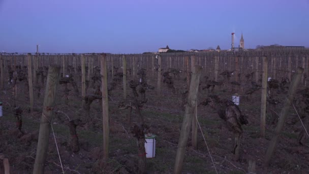 GIRONDE, POMEROL, WIND TURBINES są wykorzystywane jako AIR STIRRERS w winnicy czas trwania sub-ZERO TEMPERATURES MARS 2021, winnica BORDEAUX — Wideo stockowe