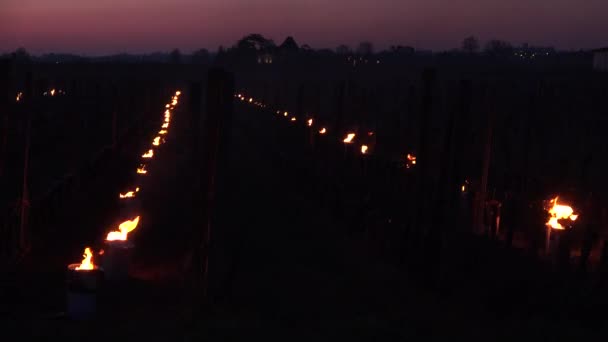 GIRONDE, POMEROL, OLIE-BURGING SMUDGE POTEN IN VINEYARD DURING SUB-ZERO TEMPERATURES VAN MARS 2021, BORDEAUX VINEYARD — Stockvideo