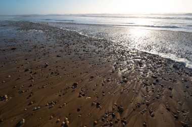 ATLANTİK Kıyı, CARCANS Plajı, FRANTİK ATLANTİK Kıyı, LACANU VE BORDEUX