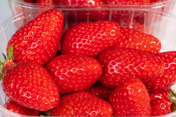 Punnet von Erdbeeren isoliert auf weißem Hintergrund — Stockfoto