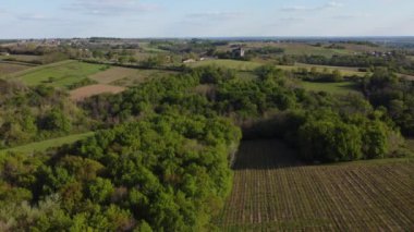 İlkbaharda üzüm bağının hava manzarası, Bordeaux Üzüm bağı, Gironde, Fransa