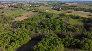 İlkbaharda üzüm bağının hava manzarası, Bordeaux Üzüm bağı, Gironde, Fransa