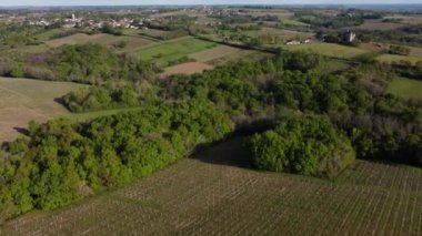 İlkbaharda üzüm bağının hava manzarası, Bordeaux Üzüm bağı, Gironde, Fransa