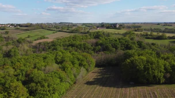 法国吉伦德波尔多葡萄园，春季葡萄园的空中景观 — 图库视频影像