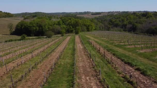 Piękny krajobraz powietrzny francuskiej wsi i jej winnic, Gironde, Francja — Wideo stockowe