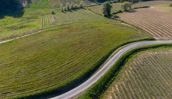 Воздушный пейзаж французской сельской местности и ее виноградников, Жиронда, Франция — стоковое фото