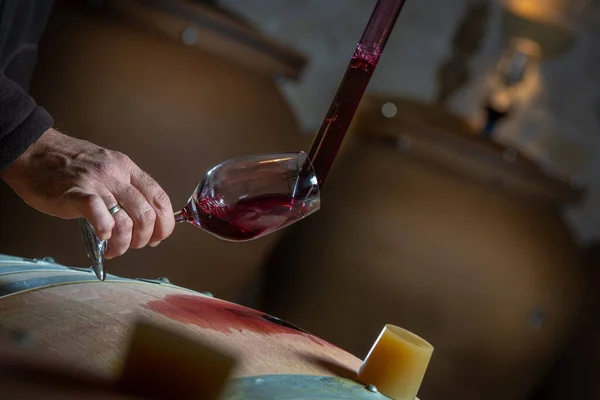 FRANCE, GIRONDE, SAINT-EMILION, SAMPLING GLASS of WINE IN A BARREL WITH PIPETTE FOR TASING AND VINIFICATION MONITORING — стокове фото