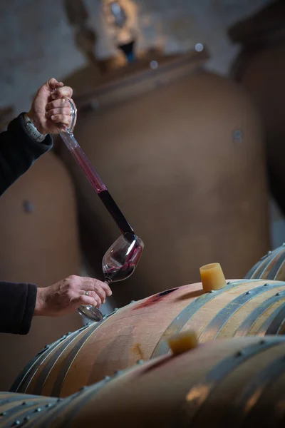 FRANCE, GIRONDE, SAINT-EMILION, SAMPLING A GLASS OF WINE IN A BARREL WITH A PIPETTE FOR TASTING AND VINIFICATION MONITORING — Stock Photo, Image
