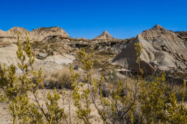 İspanya, Navarre, Arguedas, Bardenas Reales Çölü UNESCO tarafından Biyosfer rezervi olarak sınıflandırılan doğal park.