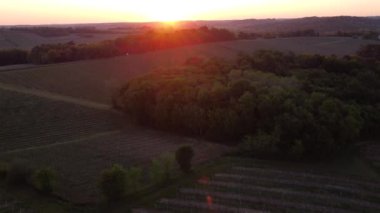 Bahar mevsiminde Bordeaux Vineyard, Gironde, Fransa