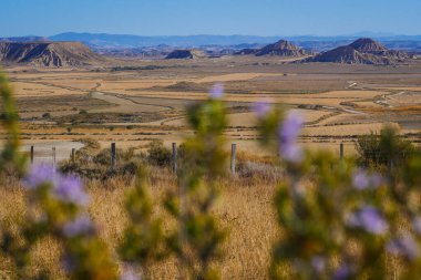 İspanya, Navarre, Arguedas, Bardenas Reales Çölü UNESCO tarafından Biyosfer rezervi olarak sınıflandırılan doğal park.