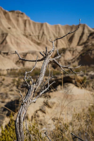 スペイン、ナバラ、アルゲダス、バルデナス｜Reales desert,ユネスコによって生物圏保護区に分類される自然公園 — ストック写真