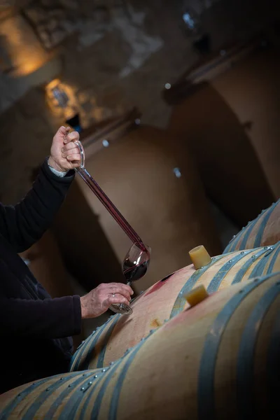 FRANCE, GIRONDE, SAINT-EMILION, SAMPLING GLASS of WINE IN A BARREL WITH PIPETTE FOR TASING AND VINIFICATION MONITORING — стокове фото