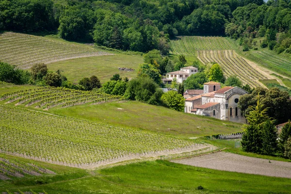 Konyak Bağları Köy Bouteville Kilisesi Şatosu Klasik Büyük Şampanya Aquitaine — Stok fotoğraf