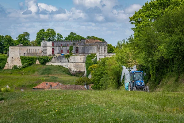 法国阿基坦 科涅克葡萄园 村庄和布特维尔教堂和城堡 古老的香槟酒 — 图库照片