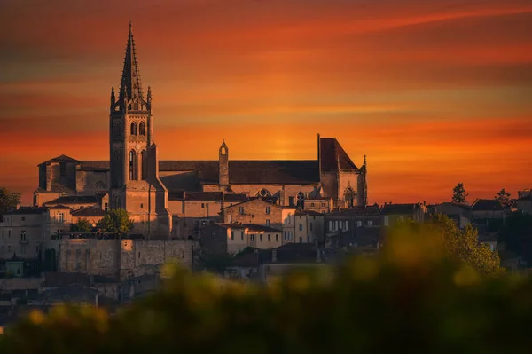 Saint-Emilion, krajobraz winnicy, winnica na południowy zachód od Francji — Zdjęcie stockowe