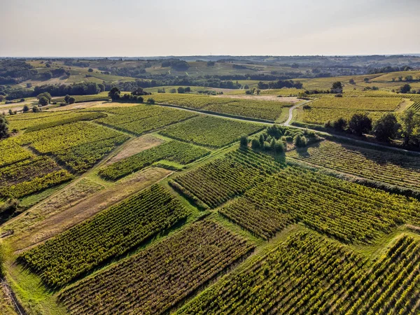 Uitzicht vanuit de lucht, Wijngaard Zonsopgang in de zomer, Sainte Croix du Mont, Bordeaux Wijngaard, Gironde, Aquitaine — Stockfoto