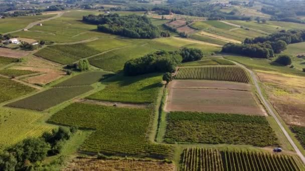 Vue Aérienne, Vignoble Lever De Soleil en été, Sainte Croix du Mont, Vignoble Bordeaux, Gironde, Aquitaine — Video