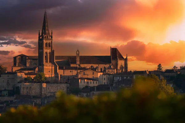 Saint-Emilion, szőlő táj, szőlő délnyugatra Franciaországtól — Stock Fotó